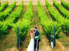 Twisted Oak Winery Weddings
