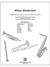 Winter Wonderland (Instr Accomp Parts)