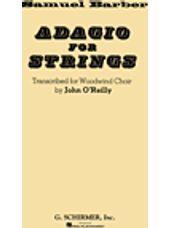 Adagio for Strings (WWD Ensemble)